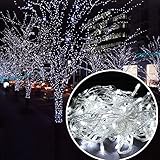 Autolizer 100 LED White Fairy String Lights Battery Powered Lamp for Xmas Tree Holiday Wedding Party