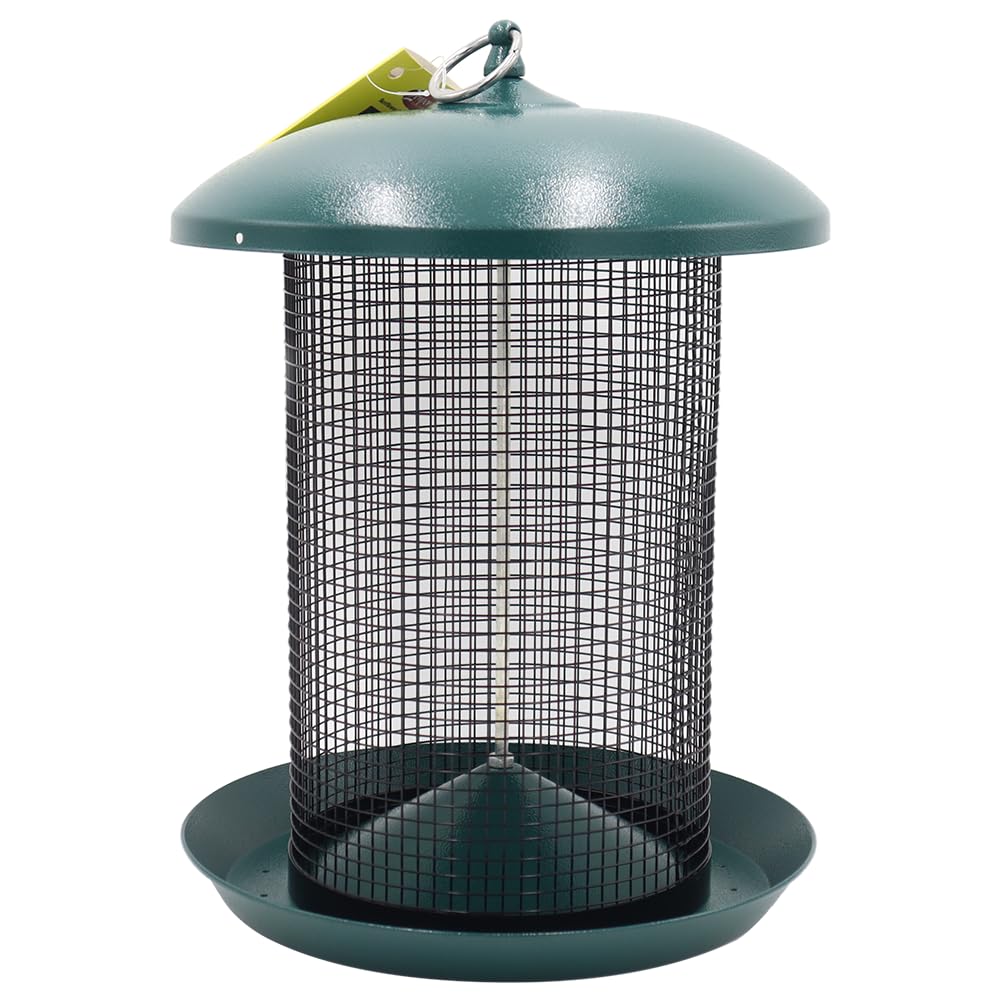 Zenport Z203010 Hanging Bird Seed Screen Feeder, Green