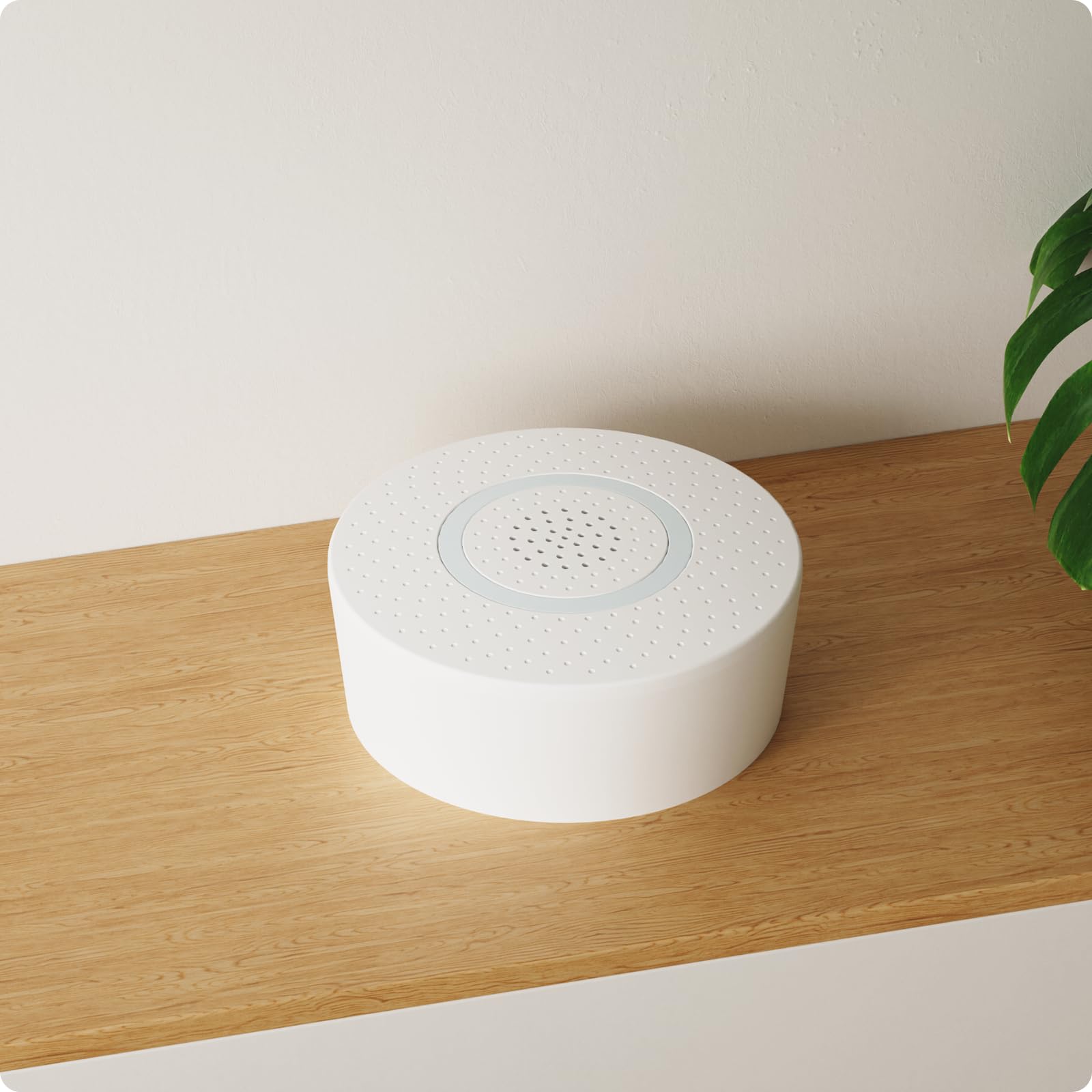 Sirena stroboscopica da interno - Allarme 120DB Funziona con il sistema di allarme AGSHOME