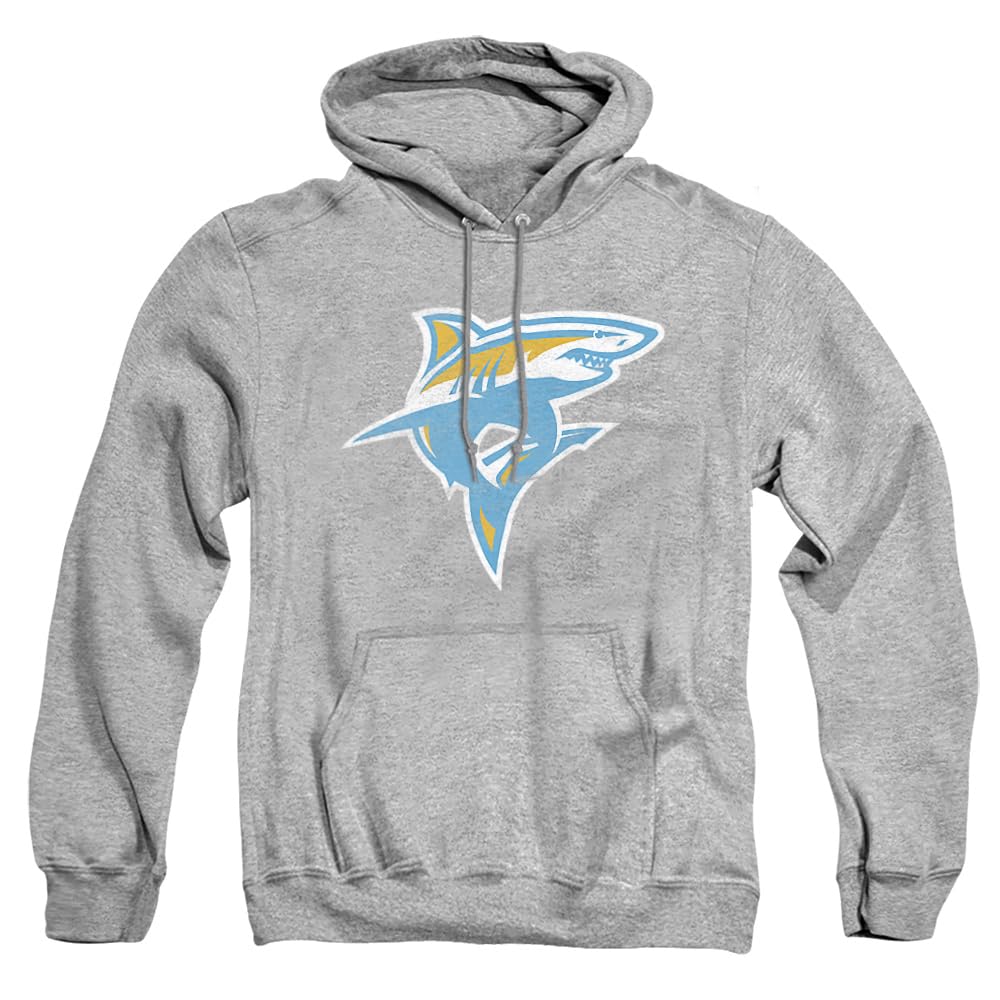 LOGOVISION Official Collegiate Distressed Primary Logo Adult Pullover Hoodie Collection — view 381