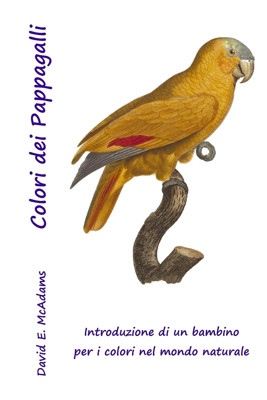 Colori dei Pappagalli: Introduzione a colori per bambini, Edition per i mercati espansi