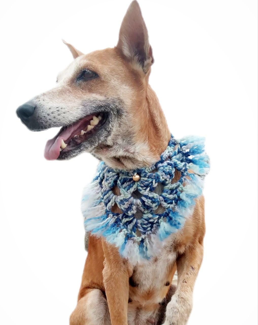 Skaista® Red Handmade Crocheted Pet Bandana cat Dog Stylish Collar Wedding Part Dress Set Free Size (Cream) (B0CFP3QQZ9) Amazon Price History, Amazon Price Tracker