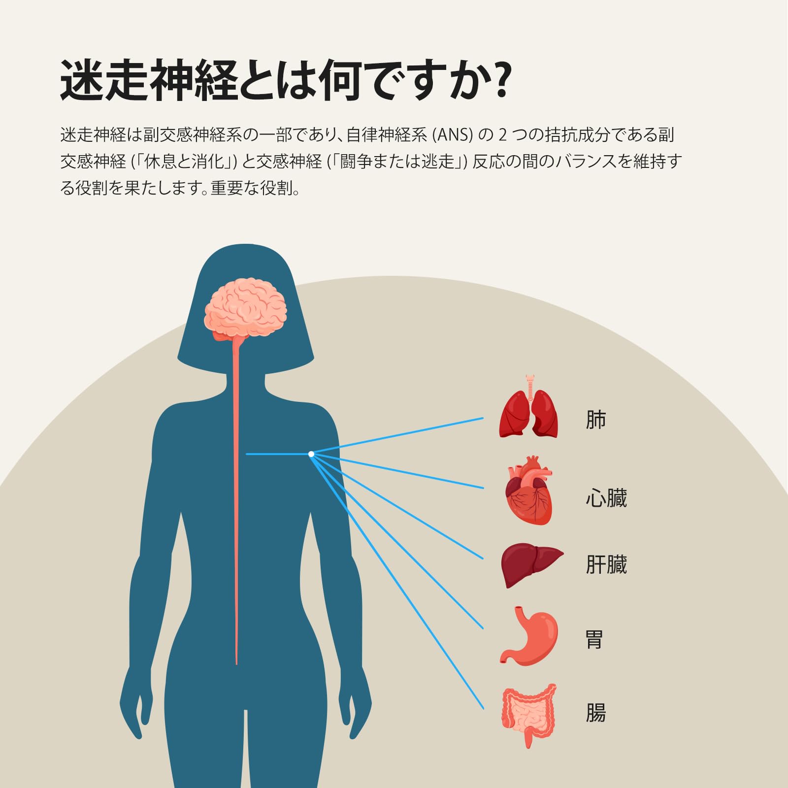 Amazon | ZenoWELL睡眠補助器、快眠グッズ 安眠グッズ|すぐに眠りに 