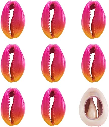 Vista 20 de Cheriswelry 10 cuentas de concha de cauri impresas con estrellas de mar sin perforar, dijes de conchas de océano, verano, playa, cuentas Estrella