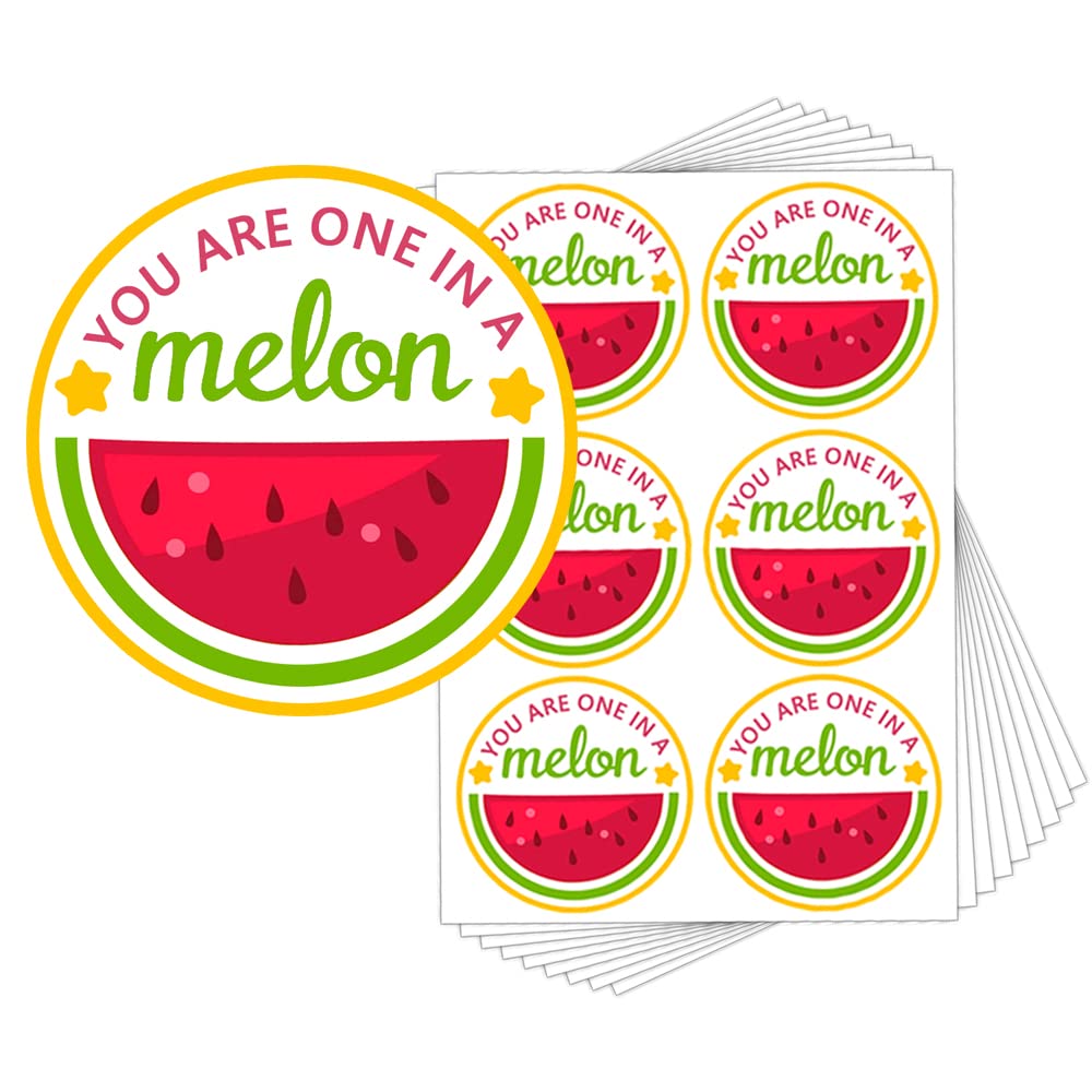 You’re One in a Melon Thank You Stickers,2 Inch Watermelon Baby Shower Birthday Party Sticker,Great for Gift,Party Favors, Envelope Seals,120 Pcs