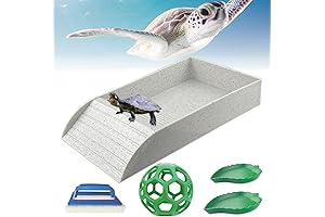 5 Pcs Tortoise Water Dish Set with Turtle Pool, Ramp and Turtle Water Bowl