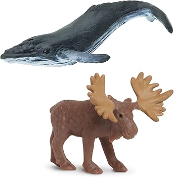 61ZAheU8QoL._AC_UF350, 61ZAheU8QoL._AC_UF350,