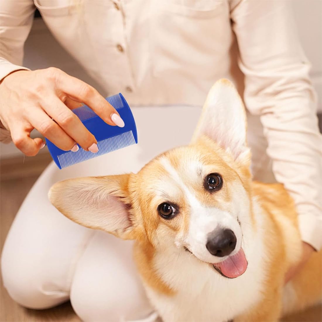 5 Pièces peignes anti-puces en acier inoxydable avec dents arrondies pour chats et chats, Peigne anti puces pour chat, peigne à poils épais, peigne à dents fines pour chien et chat