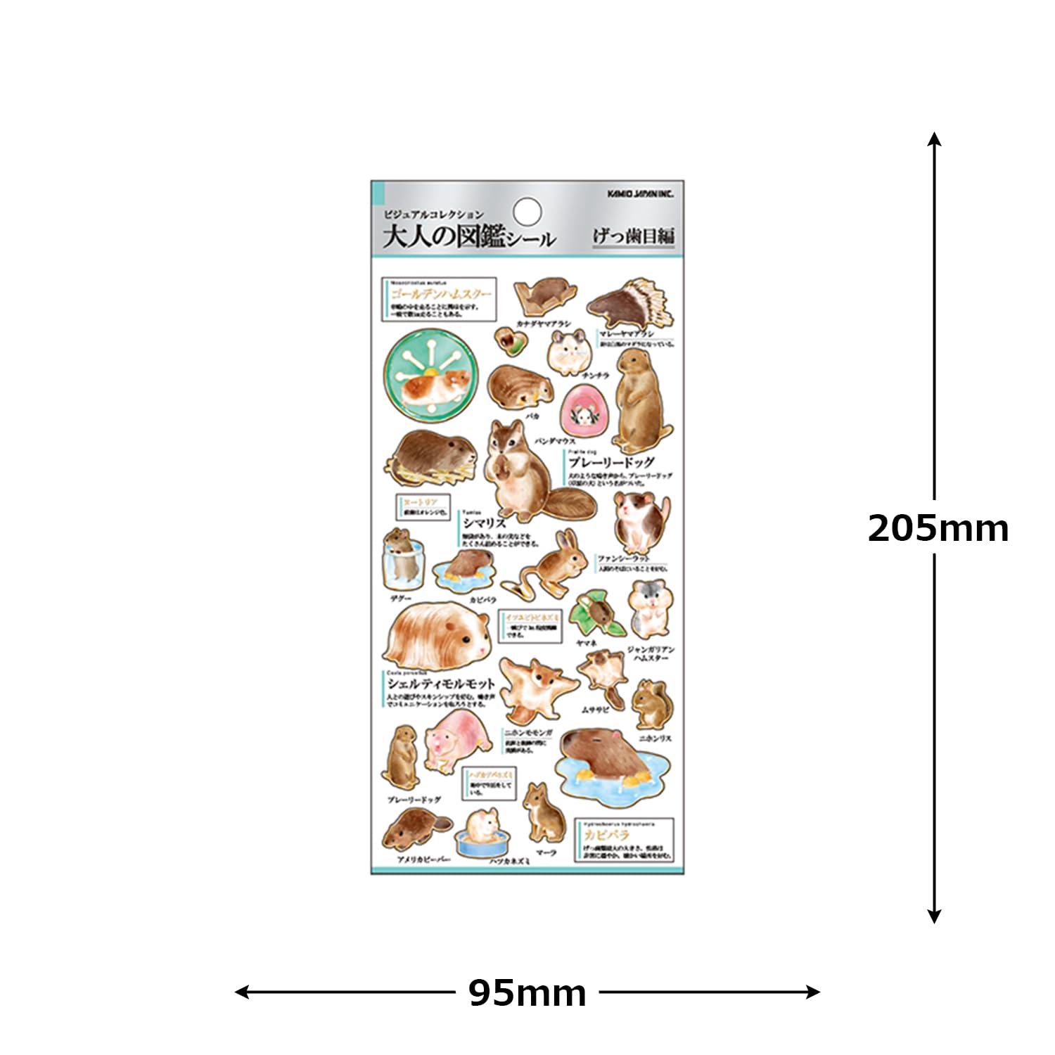 Amazon | カミオジャパン シール 大人の図鑑シール げっ歯目 226322
