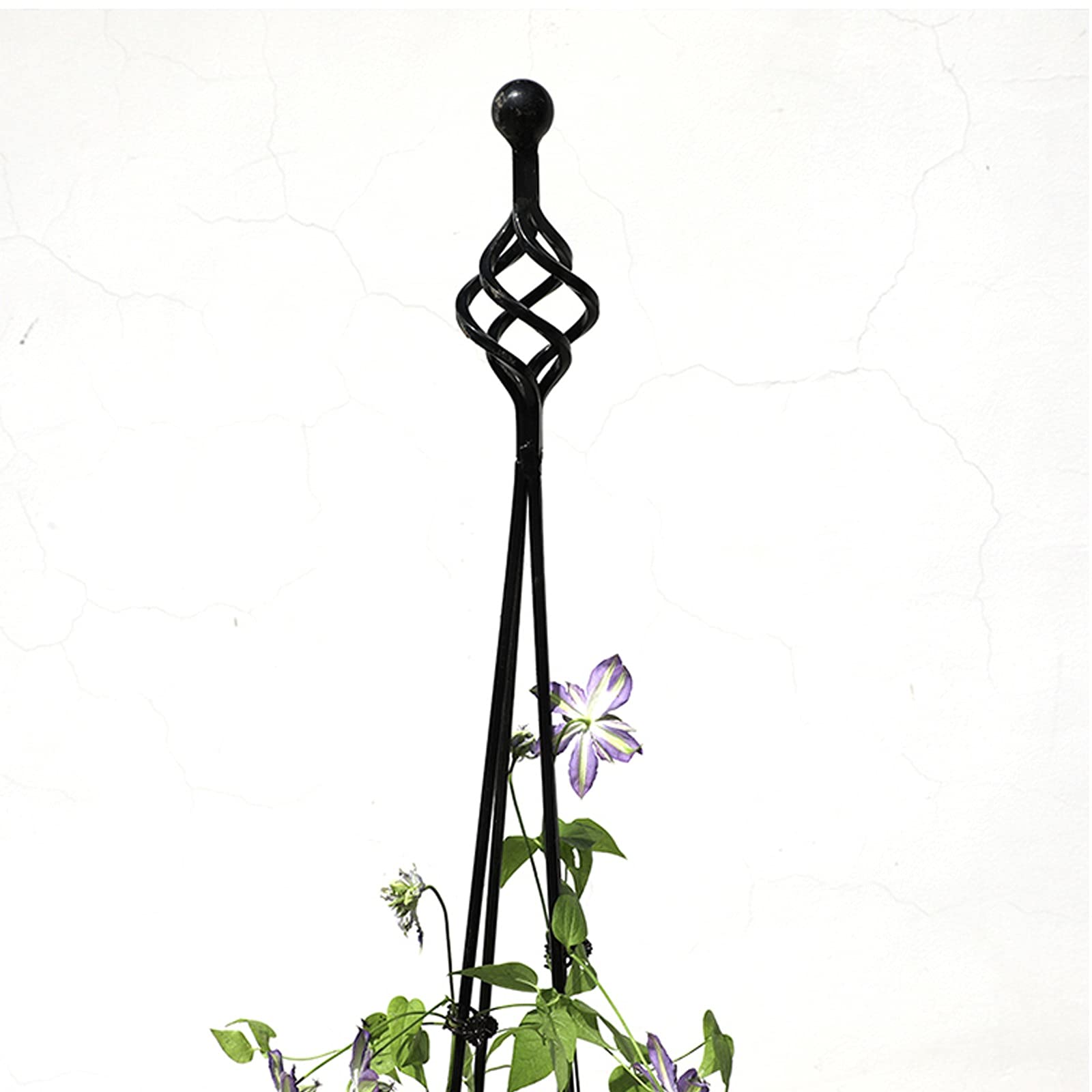 Amazon Co Jp 植物支柱 金属製 ガーデントレリス ガーデンラック ローズオベリスク 観葉植物 トレリスバラ クレマチス 誘引 つる性 ブラック 園芸植物登山トレリス フラワー支柱 耐候性屋外の鉢植えの植物のサポートガーデンガーデン アイアン プラントサポート