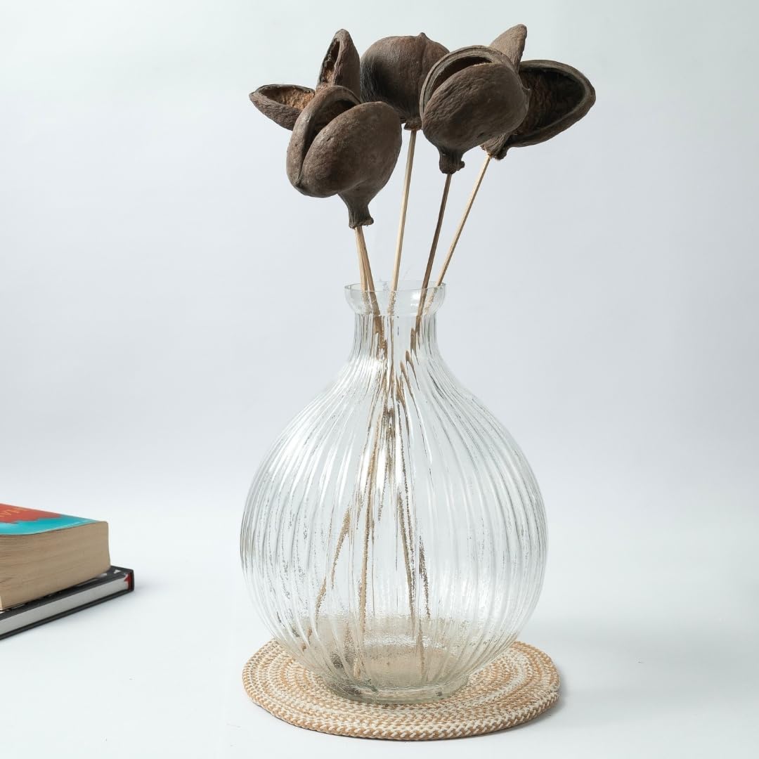 Buddha Nut Pods | Set of 5 Sticks| Unique Decor & Handmade Creations | Naturally Textured, Hollow & Long-Lasting | Ideal for Centerpieces, Potpourri & DIY Crafts(Natural)-image-41