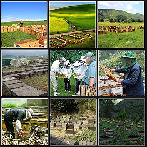 LKJHG Honigsieb, Manueller Honigschleuder Mit Ständer Und Plexiglasdeckeln, Honigabscheider Für Obst, Zuckerherzöl… – Bild 8