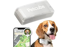 GPS Tracker for Dogs: Enhanced Pet Monitoring with Escape Alerts, Virtual Fences, and Glowing Functionality