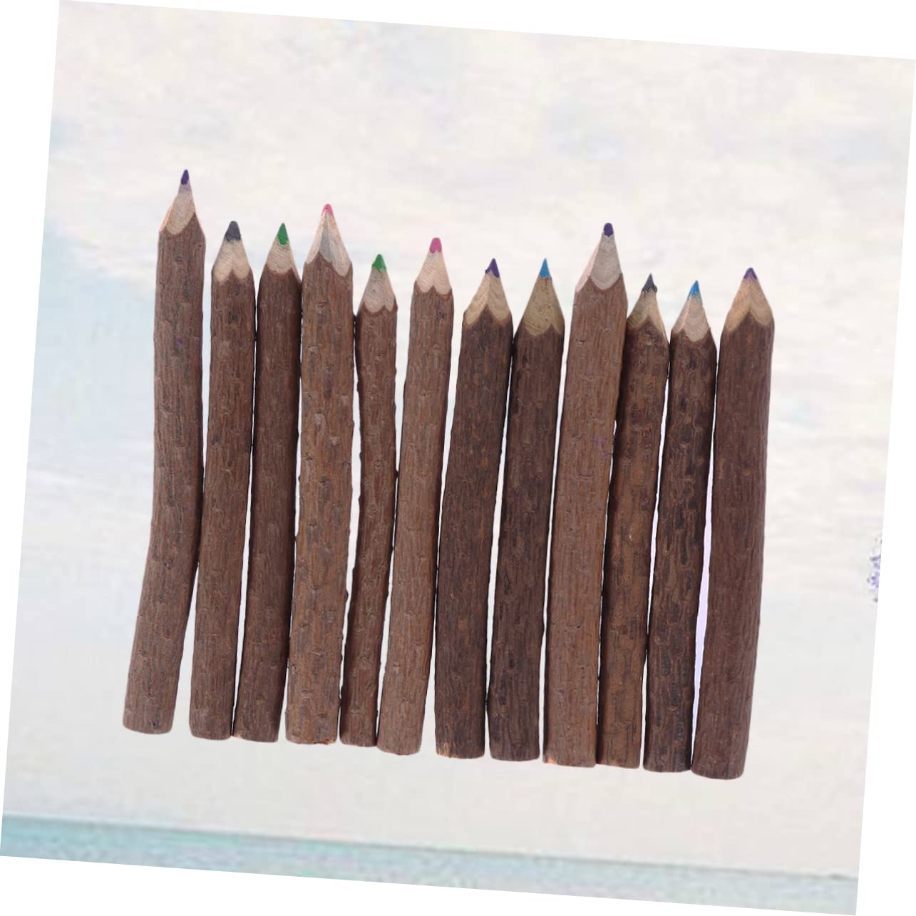 24pièces Crayons De Couleur Branches De Ensemble De Crayons Artistiques Pour Événements Créatifs