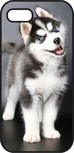 iphone 6 Plus (5.5 in) case - Husky Puppy Black and White - Black Plastic Protec