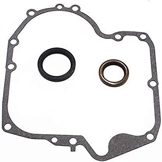 Autu Parts Crankcase Gasket & Oil Seal Combo for Briggs & Stratton 793880 697110 795387