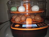 Review Image by FearNoT