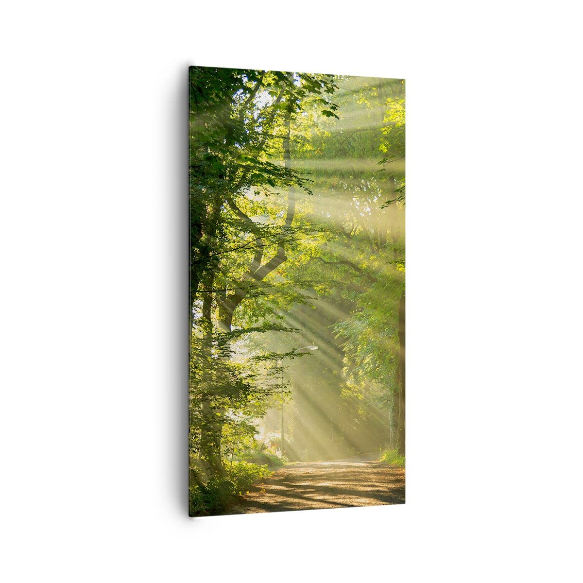 ARTTOR Quadri Moderni su Tela 65x120 cm Verticale Paesaggi Foresta - 3661