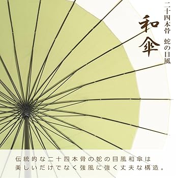 Amazon | 蛇の目 風 晴雨兼用 和傘 日傘 24本骨 撥水 防水