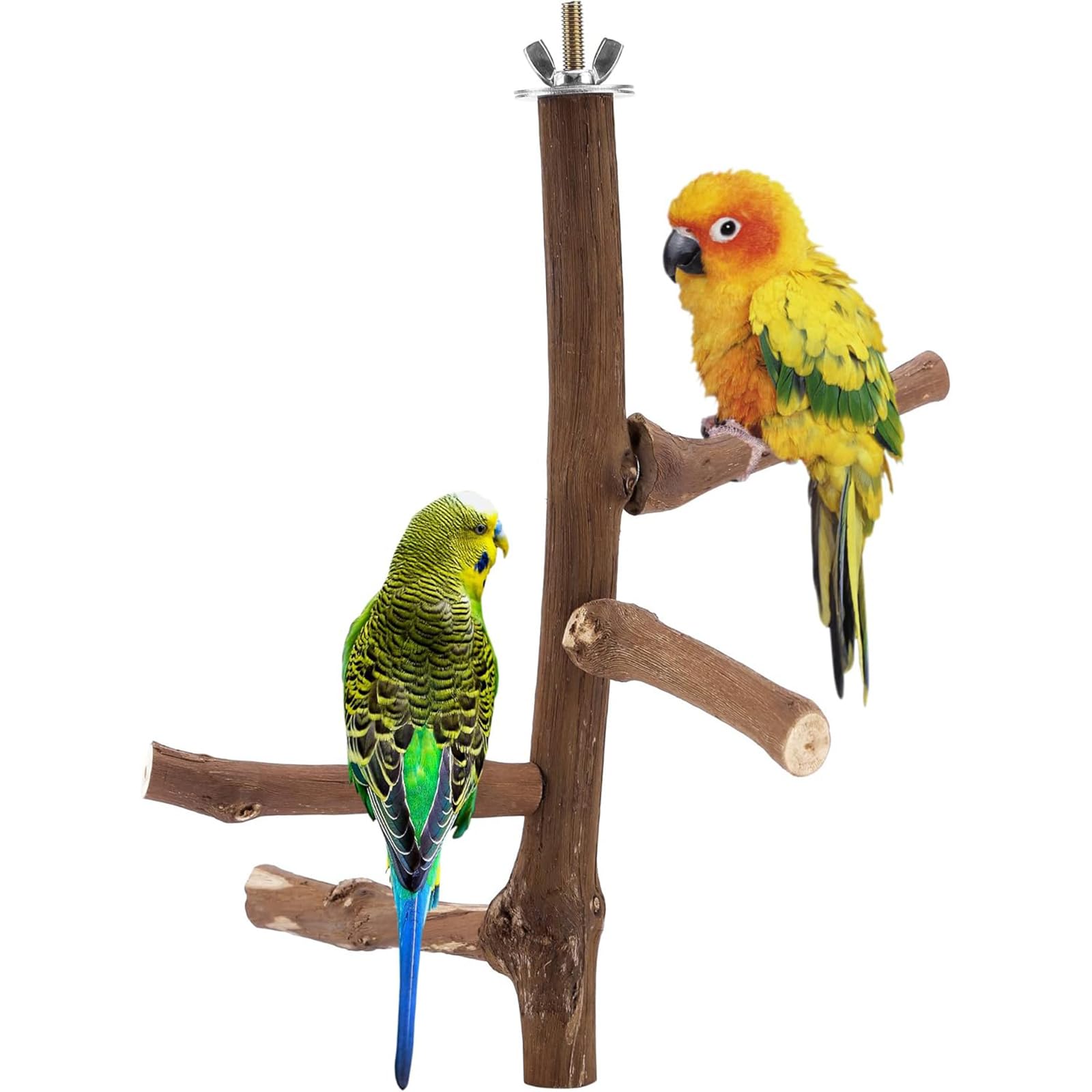 Perchoir naturel pour perruches – Accessoires de cage à oiseaux à suspendre à plusieurs branches, perchoir pour petits perruches, conures, perroquets, cacatúes, Lovebirds