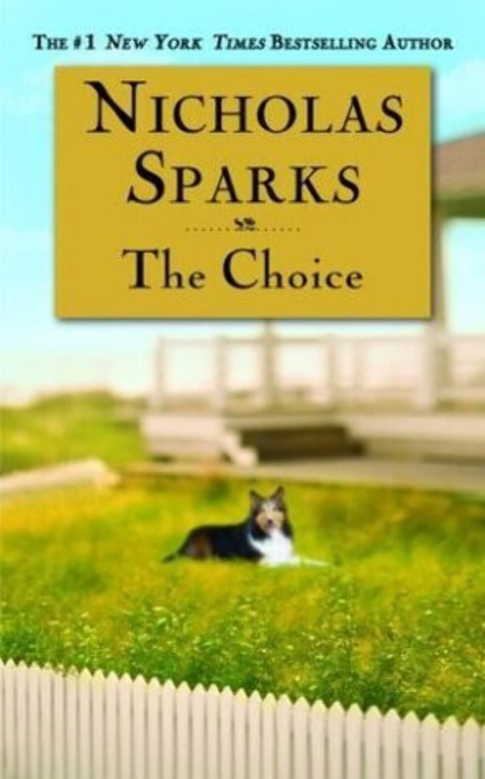Cover of The Choice