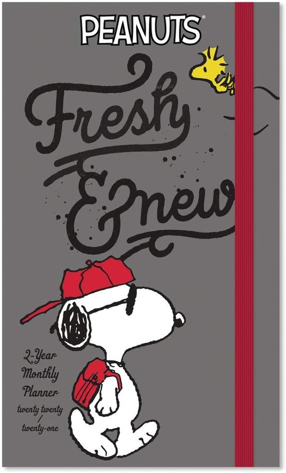 2020-2021 Peanuts Pocket Planner, 2 Year Planner (DDPP262820)
