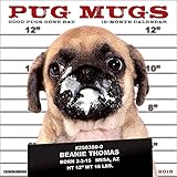 Pug Mugs 2015 Wall Calendar