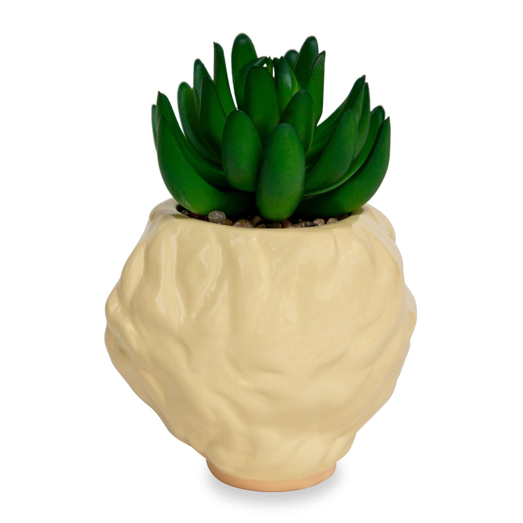 The Golden Girls Rose 3-Inch Ceramic Mini Planter With Artificial Succulent, Beige - Image 3