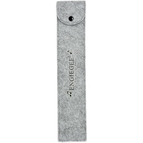 Recorder Case Bag Only