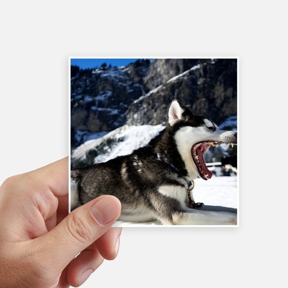 Sticker Husky 10CM idéal pour égayer les murs et les bagages de toute la famille