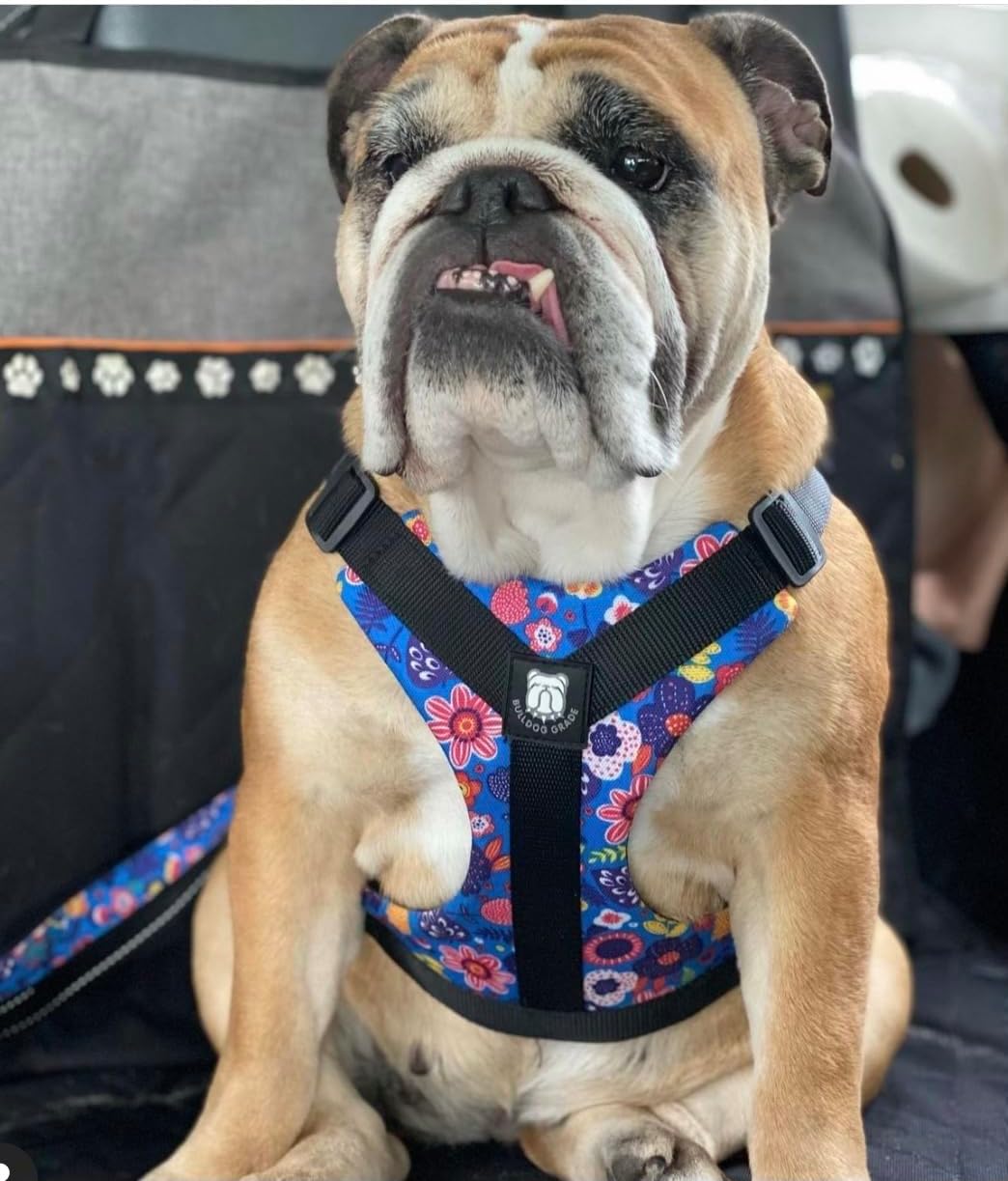 No-Pull Harness for English & French Bulldogs - Adjustable Wide-Chest Fit, Reflective Vest with Control Handle (Frisky Flowers, Large)