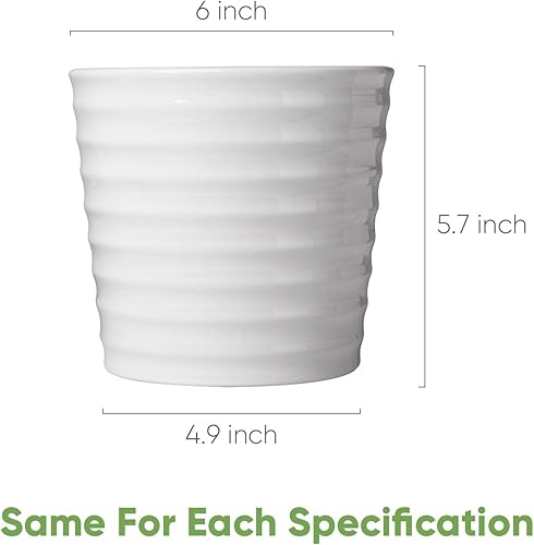 Miniatura 2 de Brajttt Macetas para suculentas de 6 pulgadas con drenaje, macetas redondas para interiores y exteriores con platillo, macetas de cactus blancos con