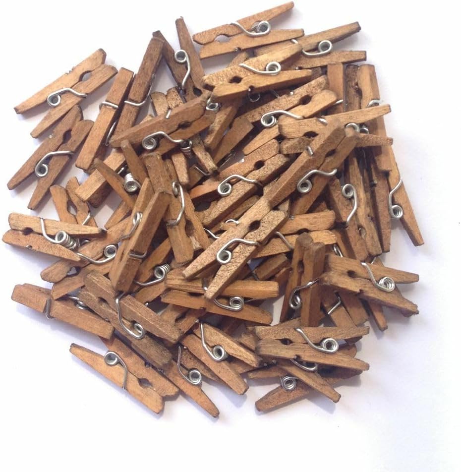 在庫セールLWR CRAFTS工芸木製ミニ洗濯バサミ、2.5センチメートル長