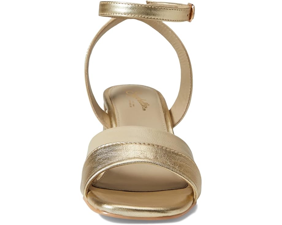 Seychelles Altar - Top View