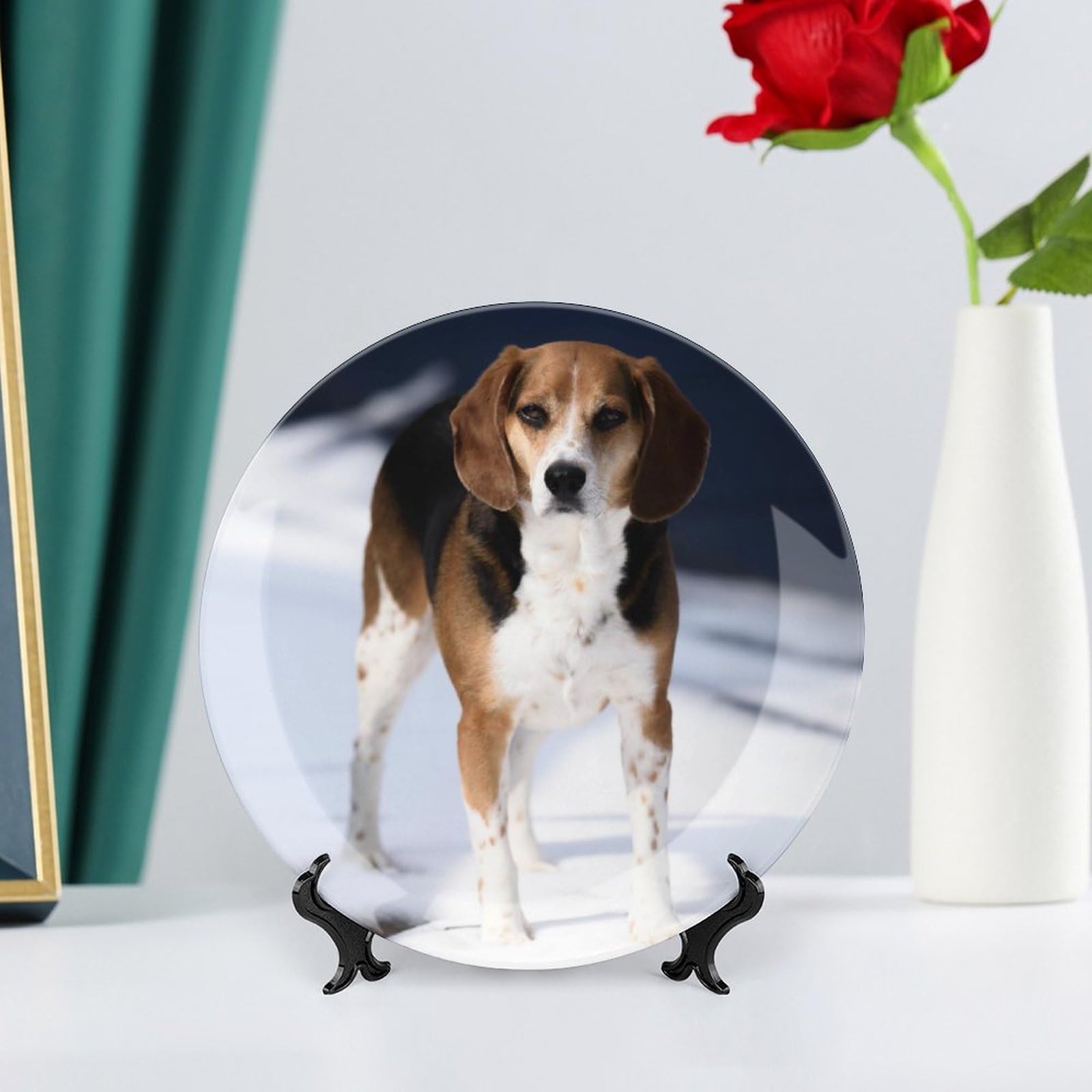 Amazon.com | Decorative Plate for Wall Hanging, Animal