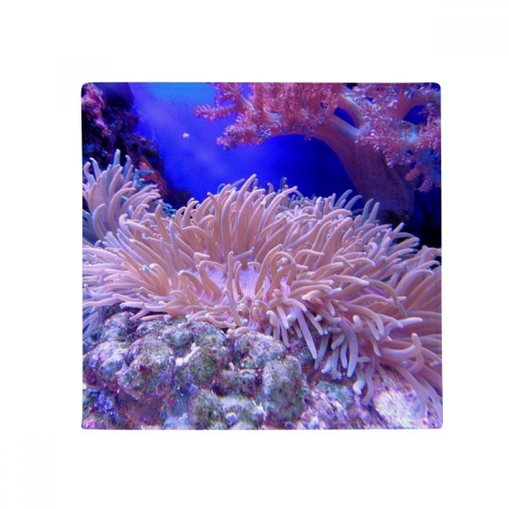 Tapis rond océan corail image idée cadeau originale pour salon et bain
