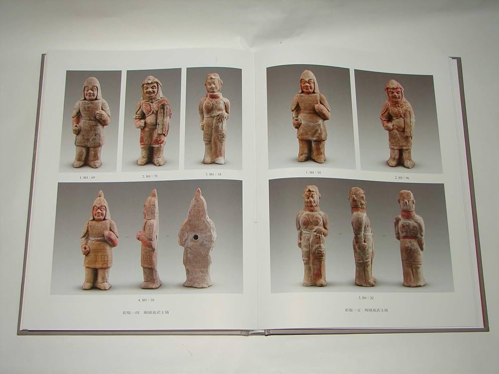 Amazon | 北周豆盧恩家族墓地発掘報告* | 陝西省考古研究院編著 | China