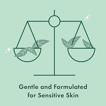 Rael Gentle Feminine Wipes, Intimate Care with pH Level, Flushable (20 Ct) | Aloe Vera, Camellia Sinensis Leaf & Pomegranate Fruit Extract, Daily pH Balanced Care for Women, Travel Size