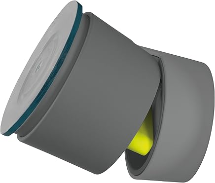 Logitech 989-000132 - Soporte de coche para Apple iPhone 5/5S, gris