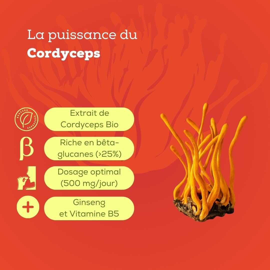 Cordyceps - Complexe Adaptogène Boost Energie & Libido - Avec Ginseng & Vitamine B5-56 Gélules Vegan - Sans Gluten ni Lactose