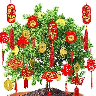 Mauts 2023 Chinese New Year Decorations Ornaments Chinese Knot Pendant Red Hanging Ornaments,Lucky Fu Pendants for New Year Home tree Car ornaments(Red, 42)