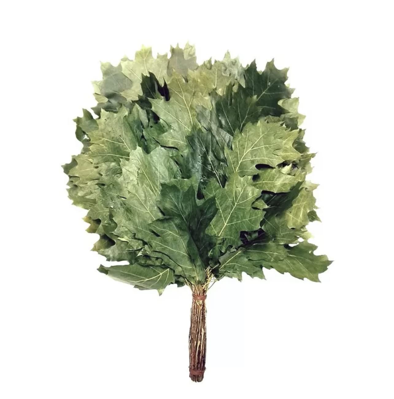 GERBE DE BRANCHES 10PCS SET (5 bouleaux et 5 fouets chêne)