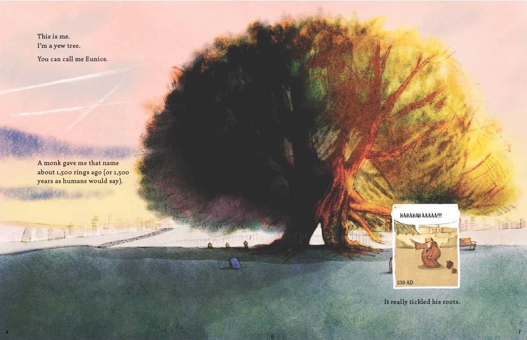 A Tree is a Time Machine      Hardcover – September 30, 2025
