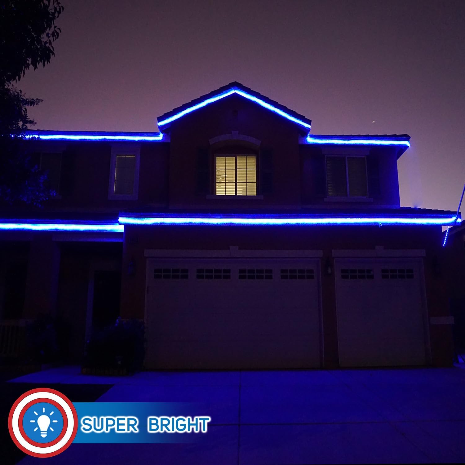 Russell Decor LED Neon Rope Lights Waterproof for Christmas Decoration Party Indoor Outdoor Décor Blue (30 FT)