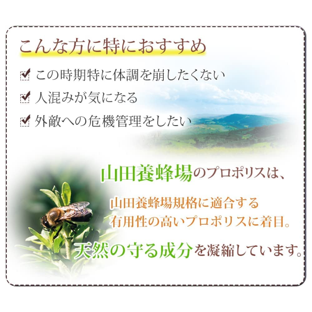 Amazon.co.jp: 山田養蜂場 プロポリスドリンク プロガードC 100ml×10本 