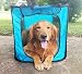 Bark Brite Pop Open Collapsible Travel Crate in 2 Sizes (Large)
