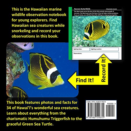 Find It: Hawaii Snorkeling Edition: A Field Notebook for the Young Explorer - Image 2