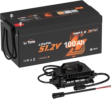 LiTime 48V 100Ah Lithium Golf Cart Battery with 18A Charger, 200A BMS, Bluetooth & Low-Temp Protection, Support up to 5kW Motor, Max 10.2kW Continuous Power Output, Perfect for Golf Carts