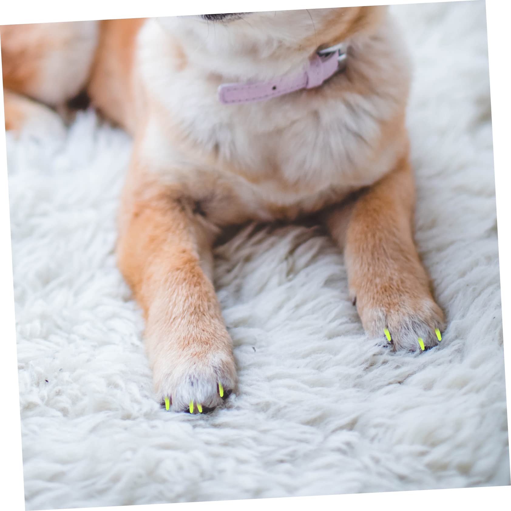 minkissy 320 Pièces Ensemble D'ongles pour Animaux De Compagnie Griffes De Chat en Caoutchouc Capuchon D'ongle De Chat Casquettes pour Chats Gel De Silice Assorti Patte De Chaton