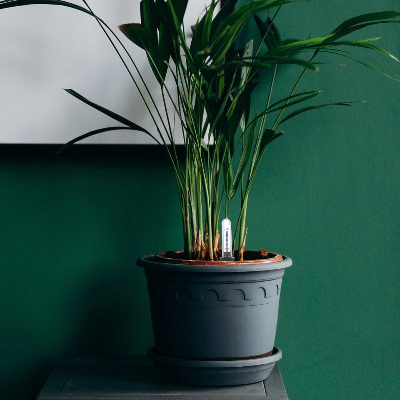 Lot de 2 indicateurs de niveau d'eau pour pot de fleurs, rappel de manque d'eau, compteur de niveau d'eau, bouée, rappel de manque d'eau pour jardin et plantes d'intérieur